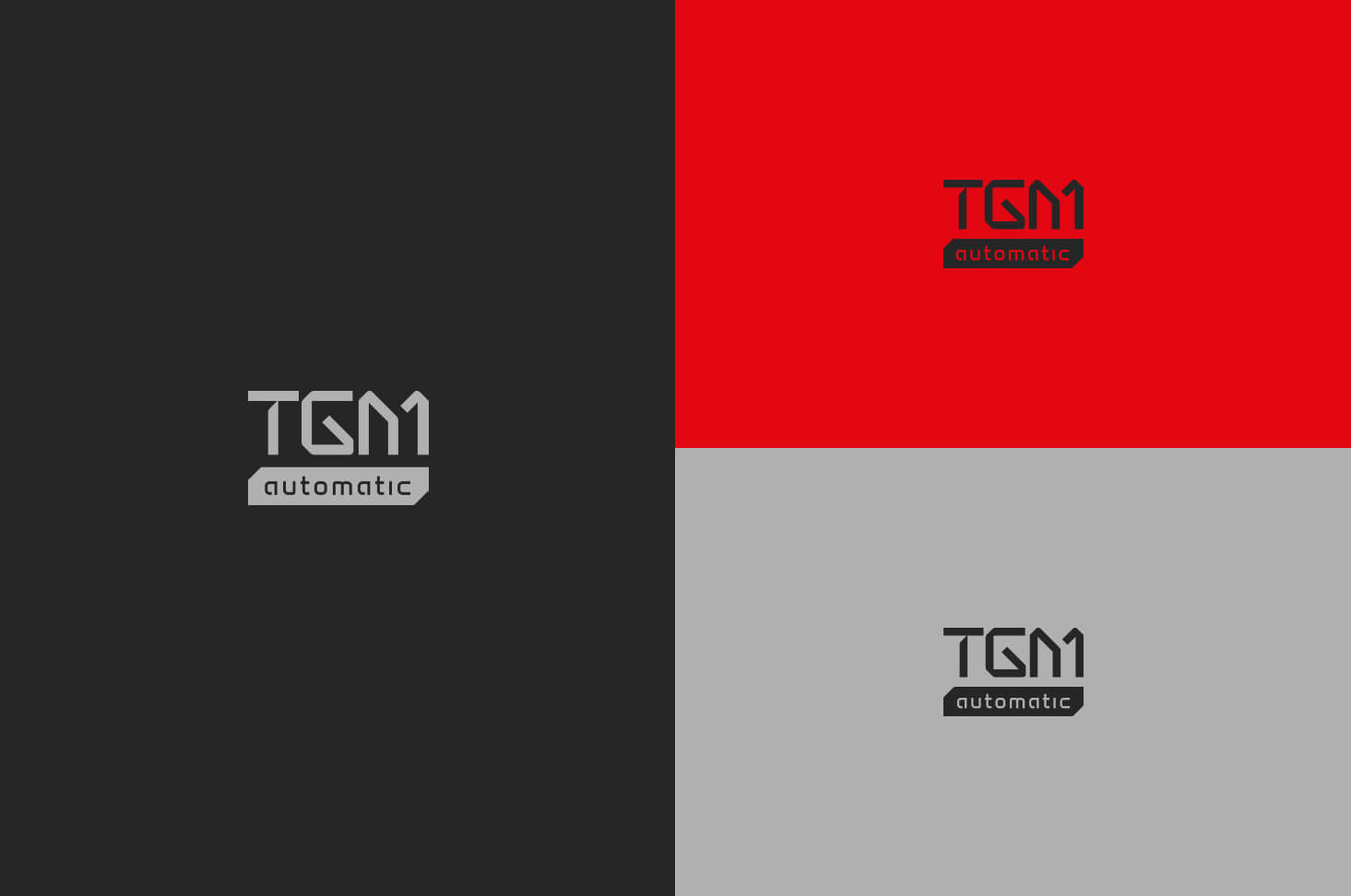 tgm-automatic-logo3.jpg