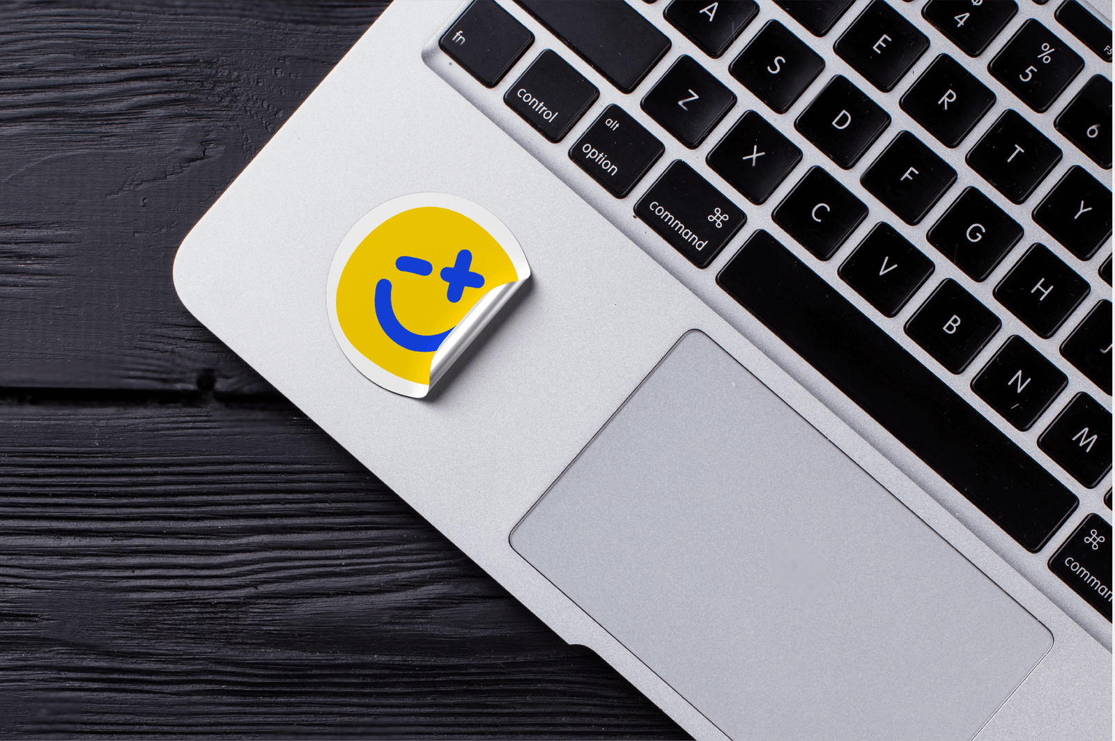 projekt logotypu alekorki.pl