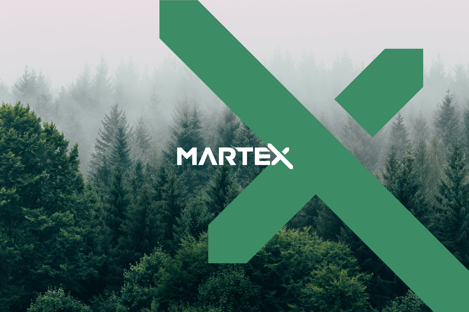 projekt logotypu Martex