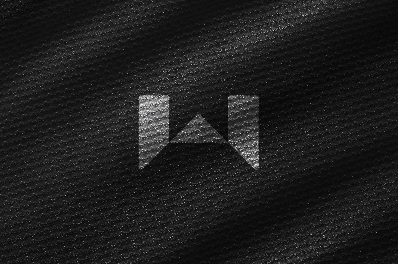 projekt logotypu Wanika